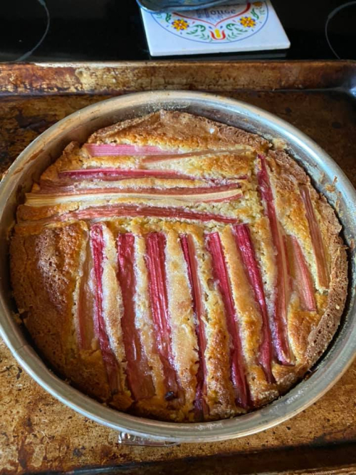 A Life, Lived Rhubarb Ricotta Cake