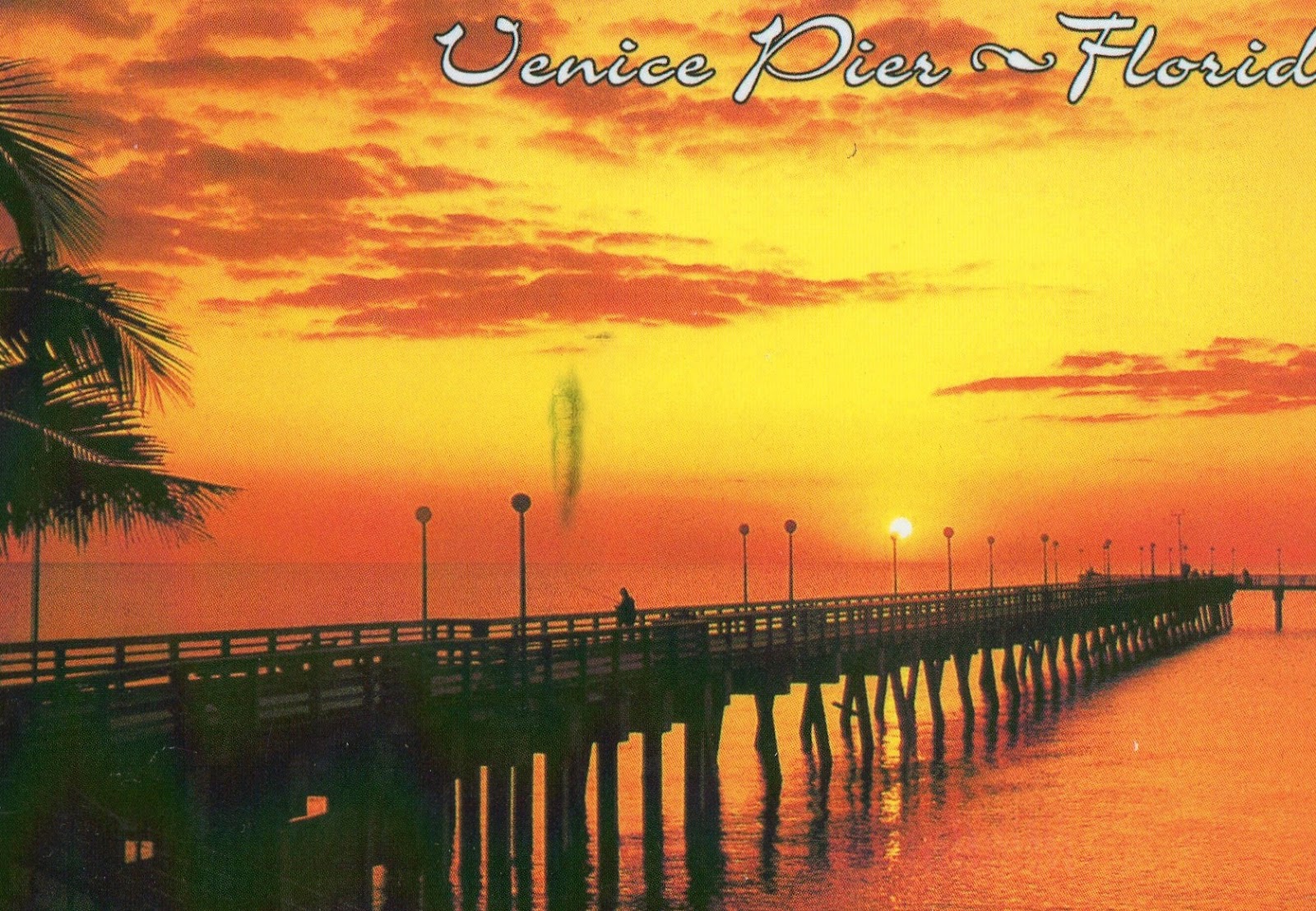 The World In Our Mailbox Venice, Florida